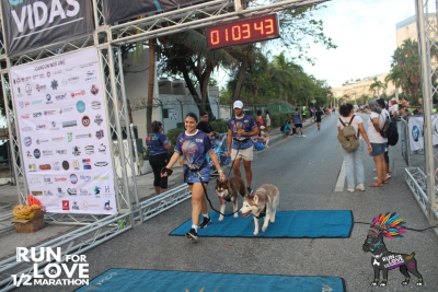 Run for Love 2024